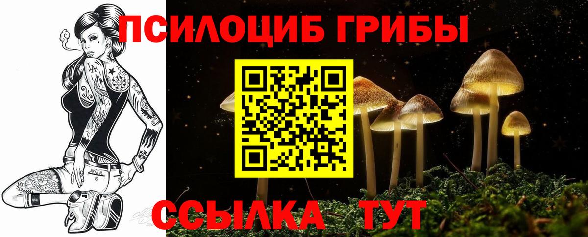 Златоуст  Галлюциногенные грибы Magic Shrooms  Псилоцибиновые грибы ЛСД  Вход с VPN 